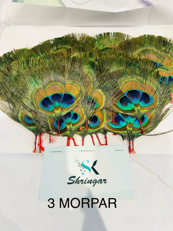 MORPANKH/CHANDRIKA ONLY - Image 2