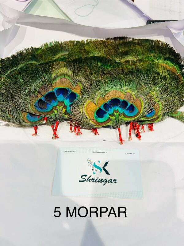 MORPANKH/CHANDRIKA ONLY - Image 3