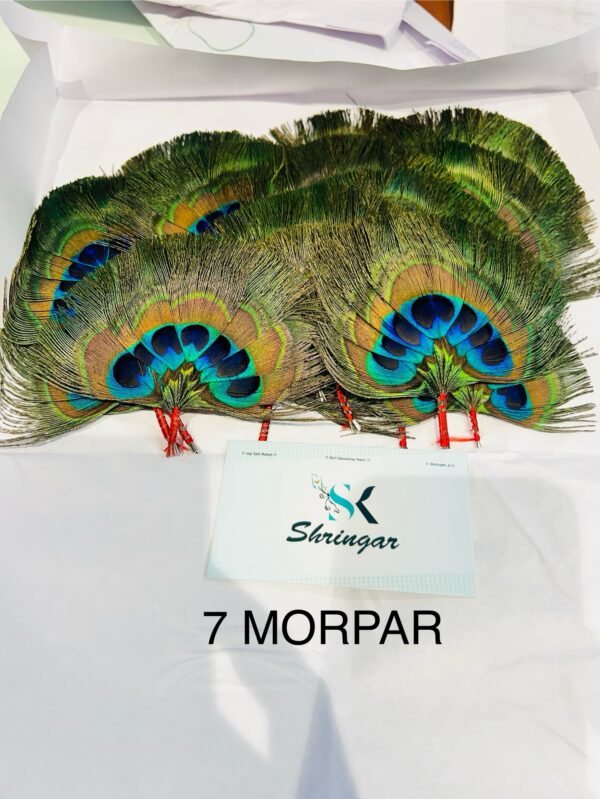 MORPANKH/CHANDRIKA ONLY - Image 4