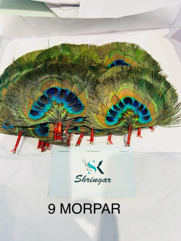MORPANKH/CHANDRIKA ONLY - Image 5