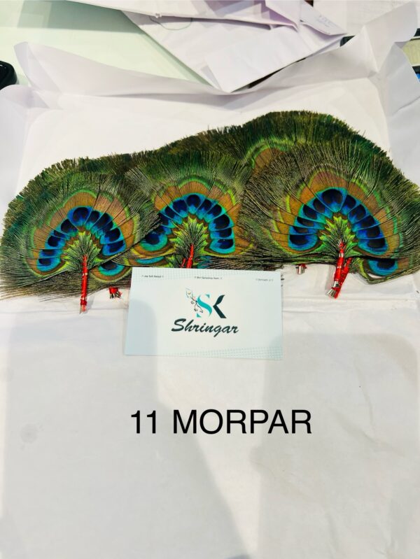 MORPANKH/CHANDRIKA ONLY - Image 6